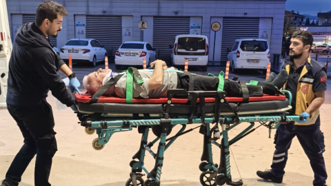 Ceviz ağacından düşen adam ağır yaralandı