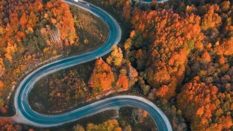 Bursa’da sonbaharla ormanlara gelen renk cümbüşü
