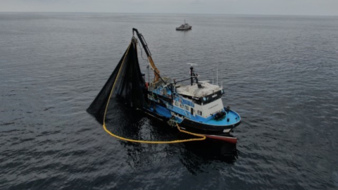 Hamside tehlike çanları çalıyor