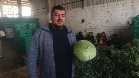 Kışlık ürünlerde hasat başladı