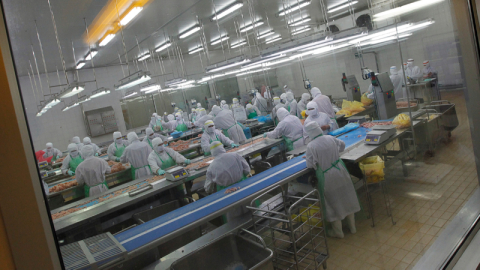 Japonya'da kuş gribi alarmı