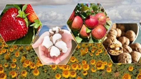 Tarımda zor yıl beklentisi! Bitkisel üretimde düşüş bekleniyor