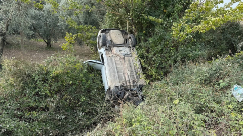 Sollama yaparken zeytinliğe uçtu