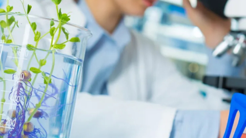 Laboratuvar denetimlerinde yeni kural!