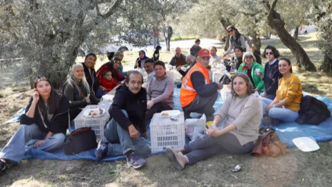 Mudanya'da birlikte zeytin topladılar