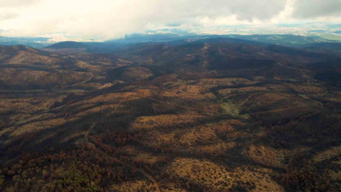 Bursa'ya 300 Bin Fidan İçin İlk Adım Atıldı