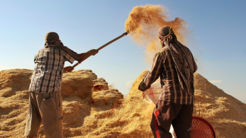 Tarım-GFE yıllık yüzde 34,60 arttı