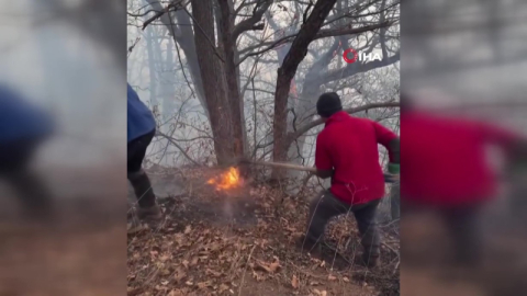 Türkiye'den İran'a orman yangını için 2 uçak