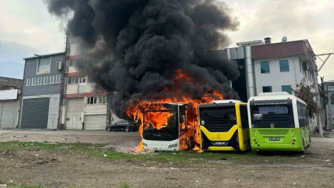 Park halindeki otobüsler cayır cayır yandı