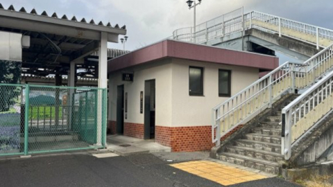 Japonya'da tren istasyonundaki umumi tuvalette ayı saldırısı