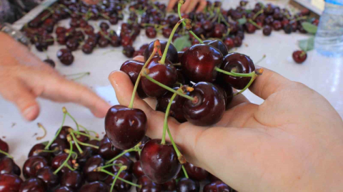 15 Aralık’ta okullarda "Coğrafi İşaret Günü" kutlanacak