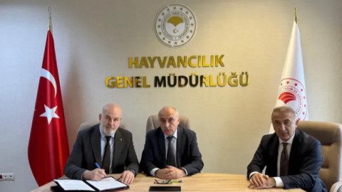 Besilik hayvan krizine neşter!