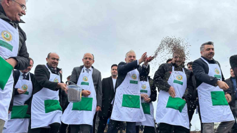 Harmancık’ta yanan 4 bin 256 hektar alan ağaçlandırılıyor