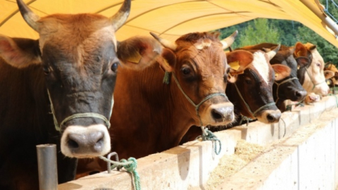 Halk elinde ıslaha 2,7 milyar TL destek