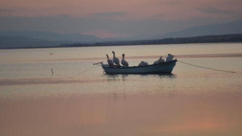 Karacabey’de çeltik ekimi yasaklandı
