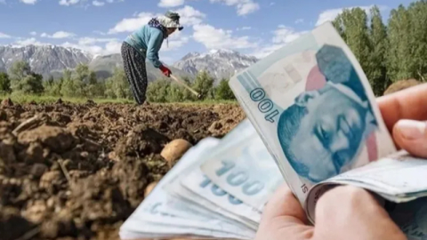 Kooperatiflere 4,5 milyar TL'lik kredi desteği