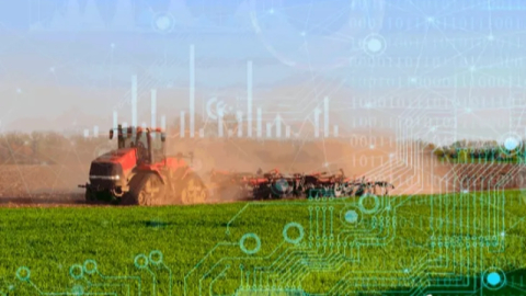 TÜİK 2025 bitkisel üretim verilerini açıkladı