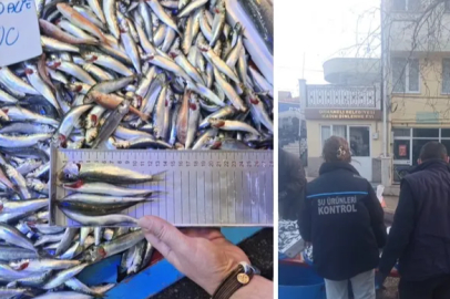 Orhaneli pazarında yasal boy altı istavritlere el konuldu