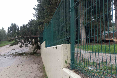 Mudanya’da lodos ve yangın paniği!