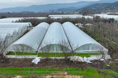 Lodostan zarar gören seralara Büyükşehir desteği
