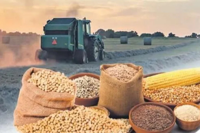 Tarım-ÜFE 2025'in son ayında da güçlü seyrini sürdürdü