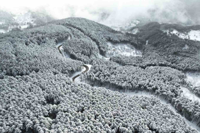 Uludağ’ın virajları görsel şölene dönüştü