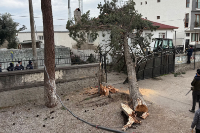 İznik’te okulların tatil olması faciayı önledi