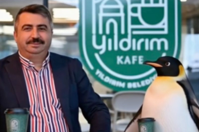 Penguen sürüden ayrılırken belediyeler boş durmadı!