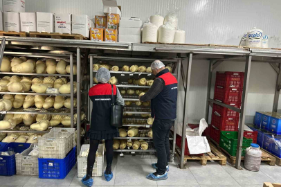 Gıda denetimlerinde "yaka kamerası" uygulamasına geçiliyor