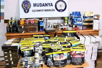Mudanya’da kaçak tütün operasyonu...