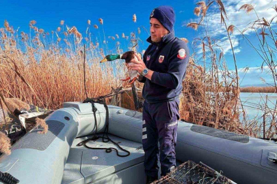 Uluabat Gölü’nde usulsüz avlananlara 431 bin TL ceza