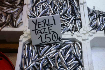 Hamsi bu defa şaşırttı: Tezgahlar yeniden şenlendi.