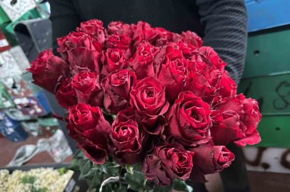 Kırmızı gülü yağış vurdu! Kenya ve Uganda gülleri revaçta