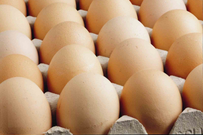 Kişi başına düşen yumurta üretimi 15 adet azaldı.