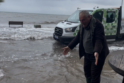 Balık umudu sahilde kaldı, kuşlar avını yolda yaptı