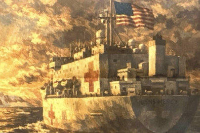 ABD'den Grönland'a hastane gemisi.