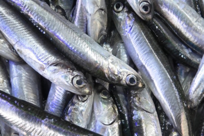 Hamside Ramazan bereketi tezgahlara yansıdı