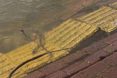 Yaren leyleğin köyü de yükselen göl sularından etkilendi
