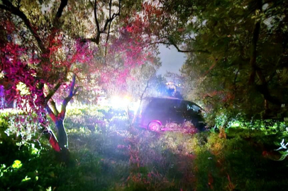 Mudanya’da kazadan kaçan sürücü zeytinliğe daldı.