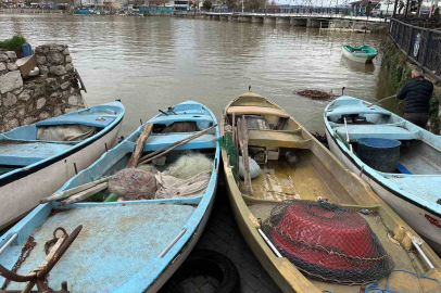 İstilacı İsrail sazanları balıkçılara gelir kaynağı oldu