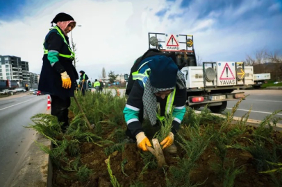 Bursa Büyükşehir'den cadde ve bulvarlara estetik dokunuş