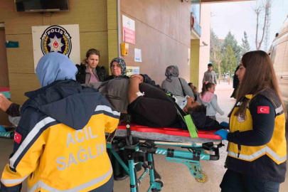 Kontrolü kaybeden kamyonet yoldan çıktı