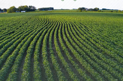 Tarım arazilerinin etkin kullanımı için hibe desteği