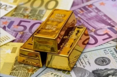 Şubat ayında döviz yatırımcıyı üzdü