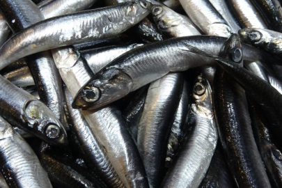 Savaş halindeki ülke ihracatta ilk sırayı aldı