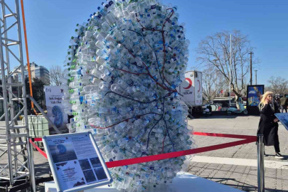 Türkiye’de Diyaliz Hastası Sayısı 72 Bini Aştı