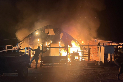 Bursa’da çiftlikte yangın: 580 kanatlı hayvan telef oldu