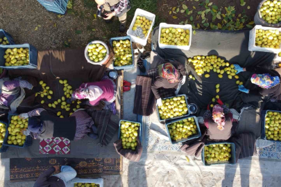 Tarım-ÜFE yıllık yüzde 40,10 arttı