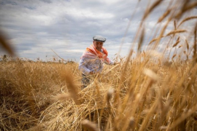 Tarım-GFE yıllık yüzde 30,59 arttı