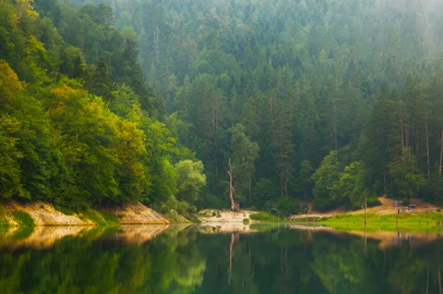 Doğa Koruma ve Milli Parklar'da yeni dönem başlıyor
